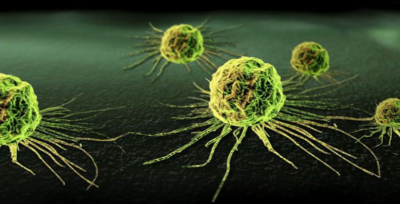 Why Do People Think Cannabis Cures Cancer Hail Mary Jane