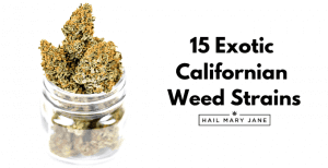 Read more about the article 15 Exotic Weed Strains Of California Marijuana