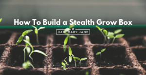 Read more about the article How To Build a Stealth Grow Box Step By Step For Less Than $150