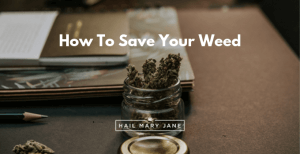 Read more about the article Best Ways To Conserve Your Weed