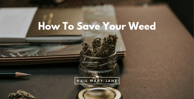 You are currently viewing Best Ways To Conserve Your Weed