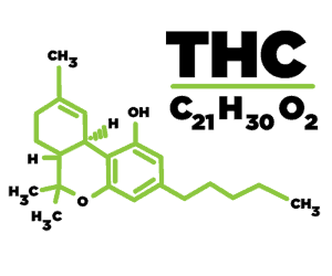 Read more about the article What is THC? Guide on tetrahydrocannabinol