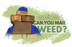 Read more about the article The Art Of Sending Marijuana By Mail