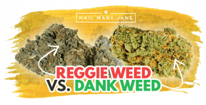 Read more about the article How To Know Whether You Bought Good or Bad Cannabis