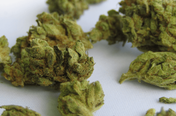 How To Find A Weed Dealer And Types Of Marijuana Dealers - HMJ ®