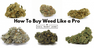 Read more about the article How To Buy Weed Like A Pro? [Complete Guide]