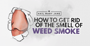 Read more about the article 10 Ways To Get Rid Of The Smell Of Weed Smoke