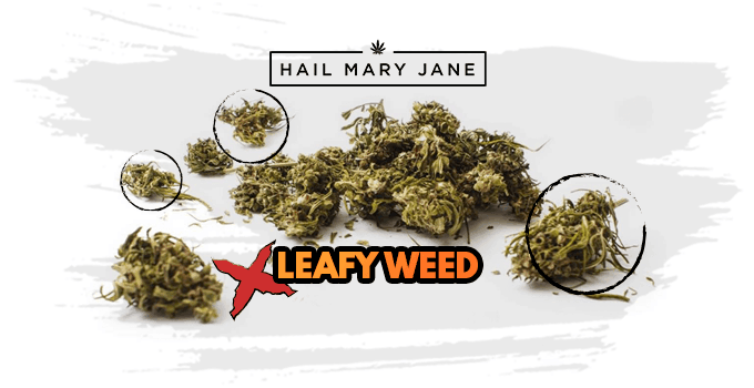 leafy weed