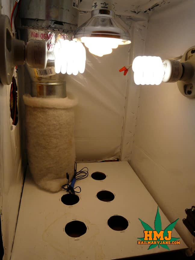 lights for cannabis grow box