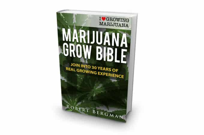 Bible Bible