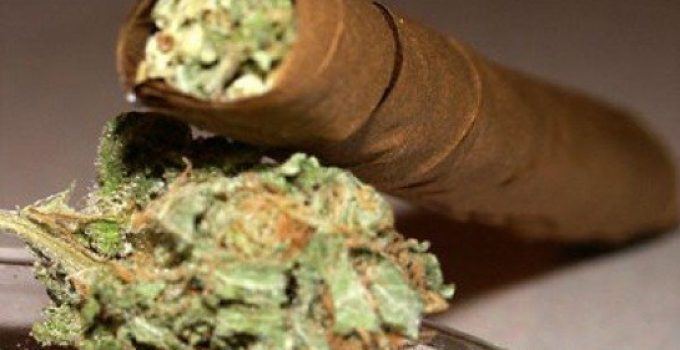 weed blunt