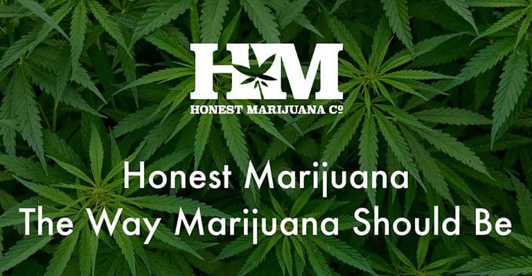 You are currently viewing Behind Honest Marijuana Company Mission