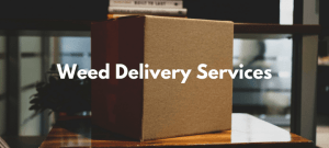 Read more about the article Weed Delivery Services 2021: The Best Businesses & Where To Find Them