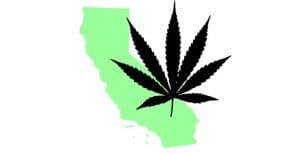 Read more about the article Weed Is Almost Legal in California. Here’s what you need to know.