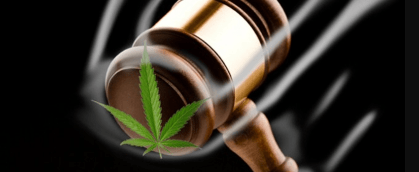 an introduction to the advantages and disadvantages of marijuana legalization Advantages and disadvantages of marijuana advantages physical benefits the physical benefits of marijuana are far-reaching, widespread, and long-term. an introduction to the advantages and disadvantages of marijuana legalization Advantages and disadvantages of marijuana advantages physical benefits the physical benefits of marijuana are far-reaching, widespread, and long-term.