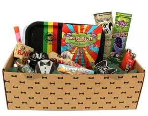 Read more about the article Hippie Butler Box Review
