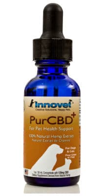 Innovet PurCBD oil dog