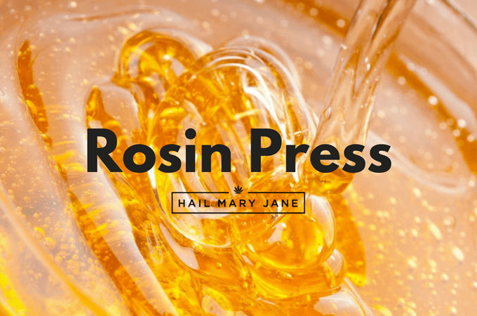 You are currently viewing Rosin Press: All You Need To Know