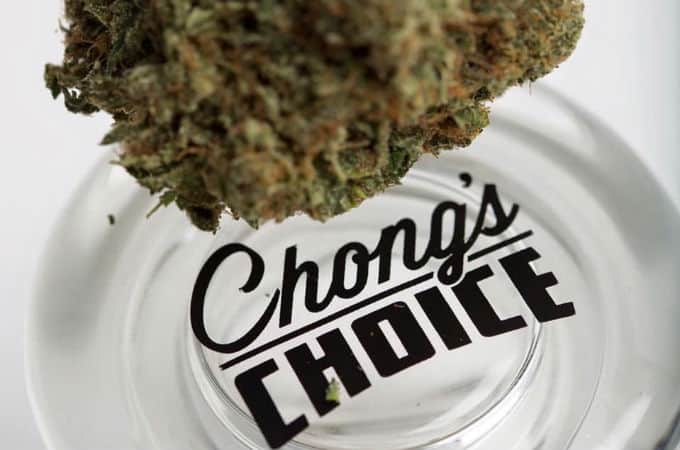 chongs choice review