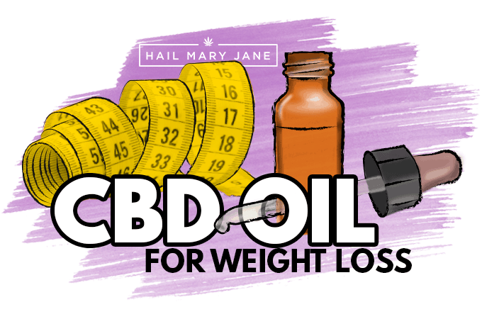 You are currently viewing CBD Oil For Weight Loss