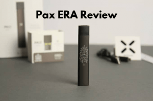 Read more about the article PAX Era Review 2020