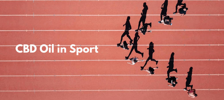 You are currently viewing CBD Oil in Sport: Top Things to Know About CBD Oil for Athletes