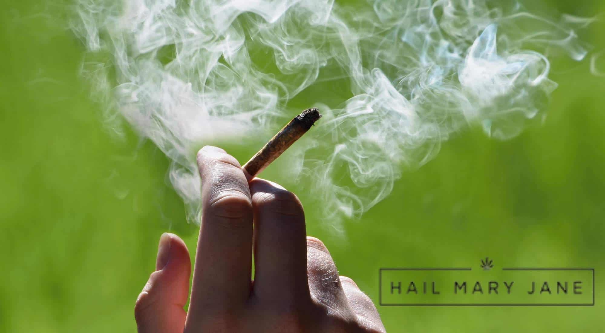 You are currently viewing How Much THC Is in a Typical Joint? Your Questions Answered