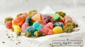 Read more about the article Do Edibles Expire? A Guide to Keeping Your Edibles Fresh