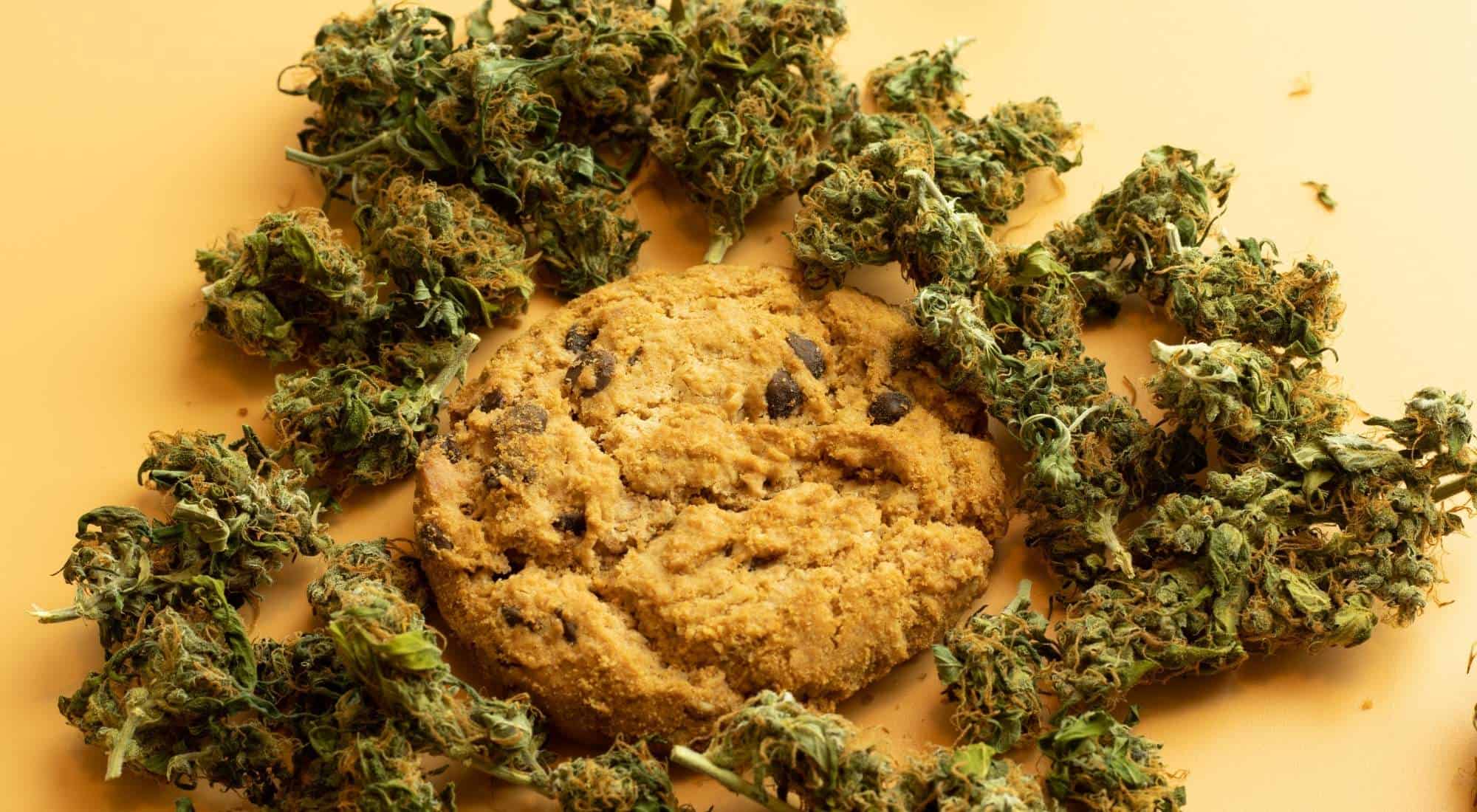 Do Edibles Expire? A Freshness Guide Hail Mary Jane