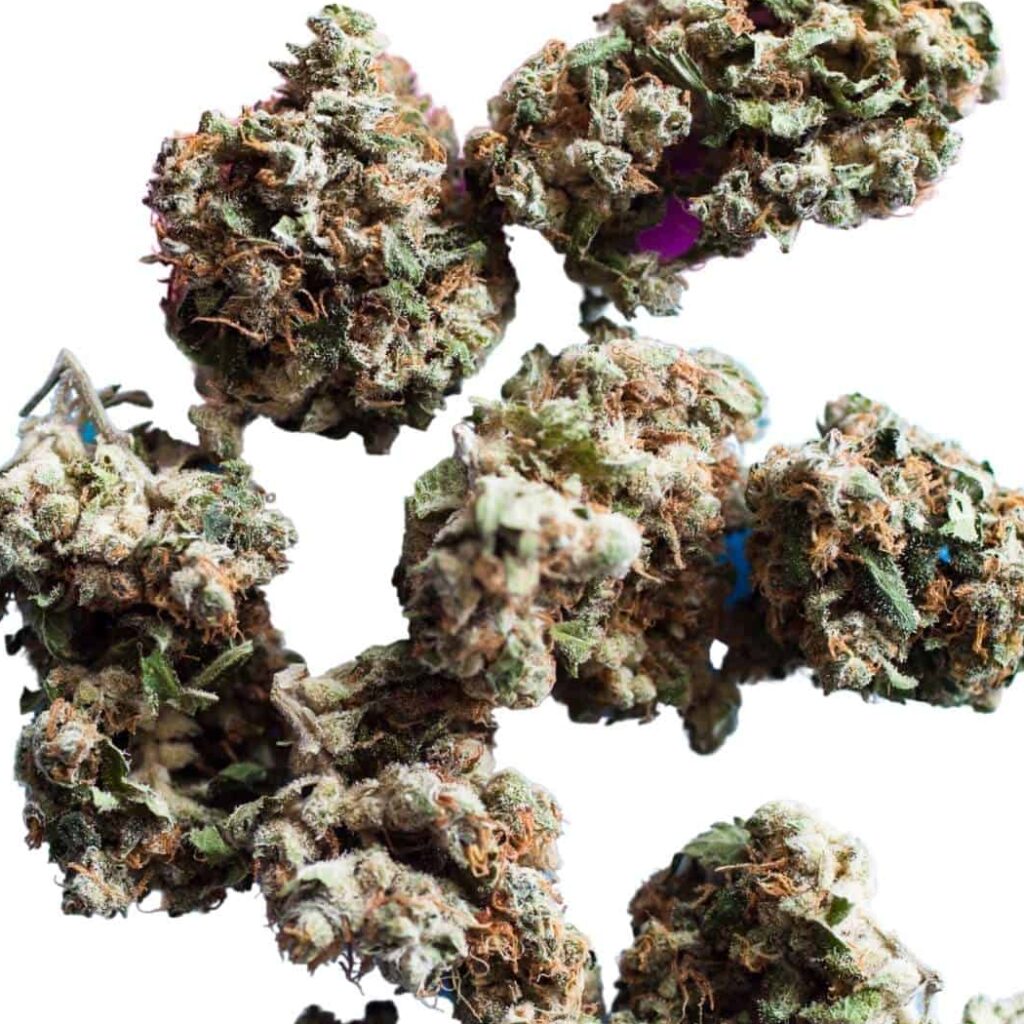 Black Ice Bred Strain Indica – CANNBIS MARKET CENTER