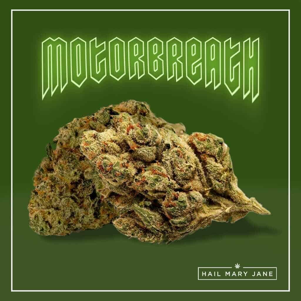 motorbreath strain