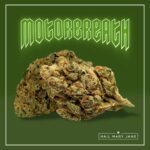 motorbreath strain