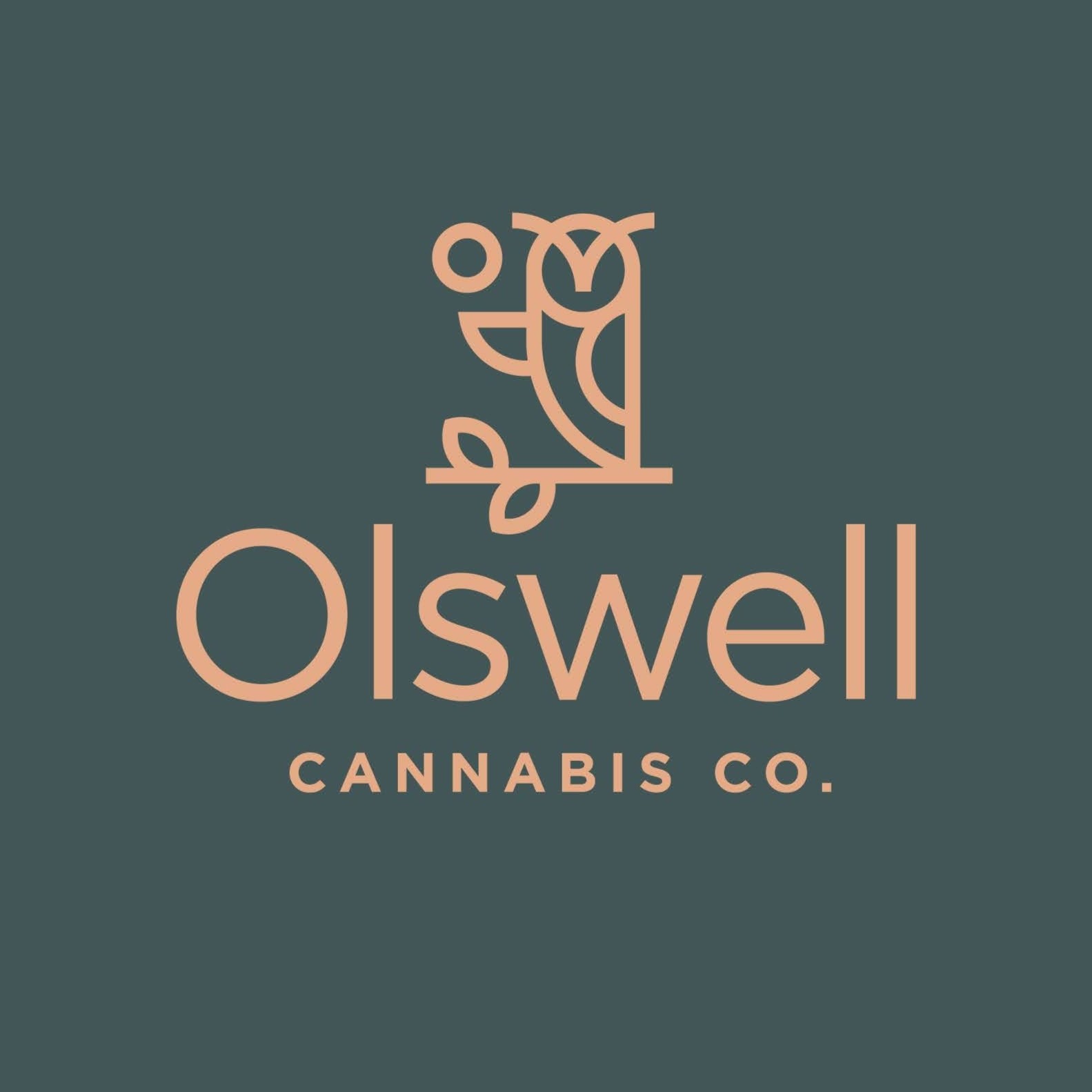 You are currently viewing Olswell Cannabis Co. Dispensary Grand Rapids