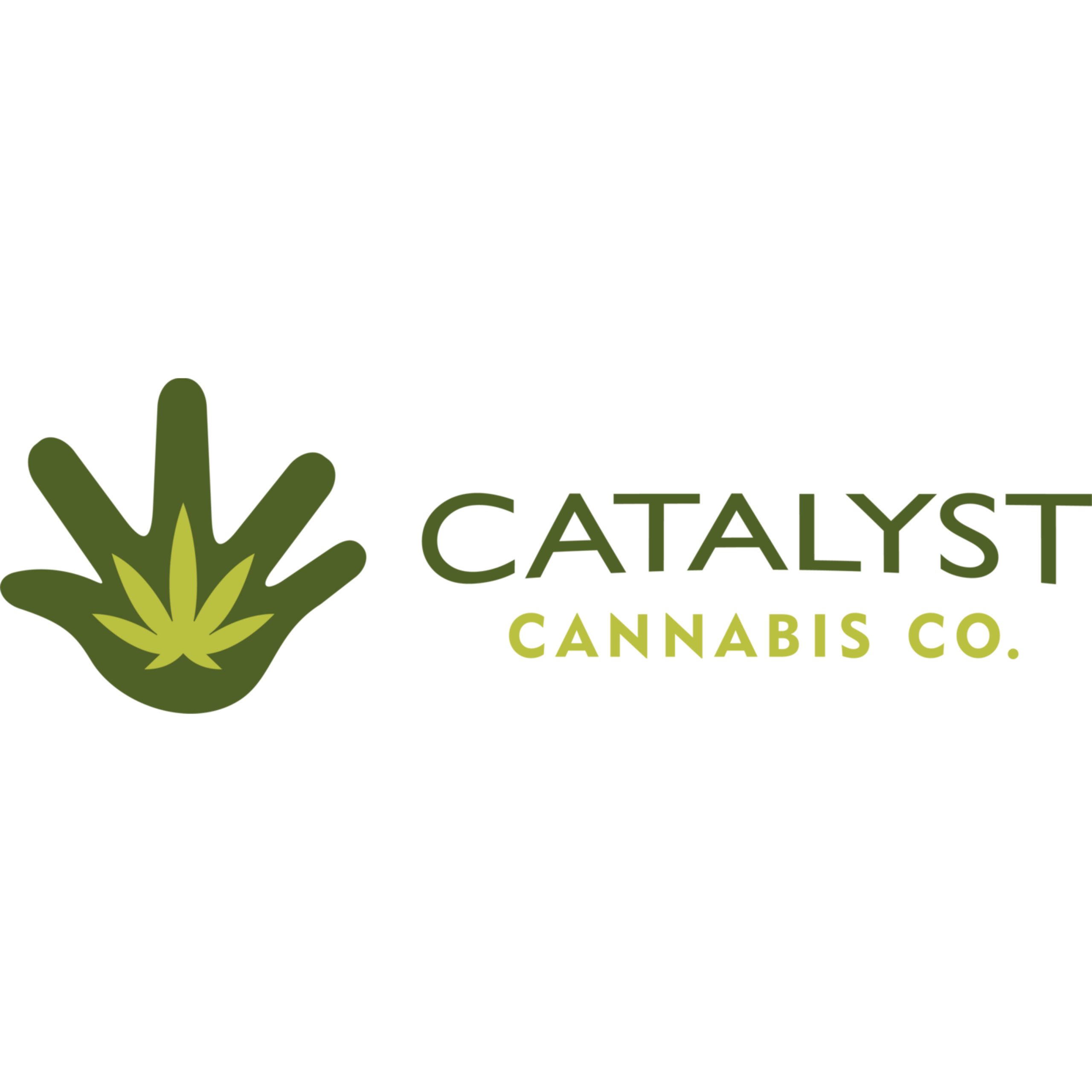 You are currently viewing Catalyst Cannabis Company Recreational Dispensary Muldoon