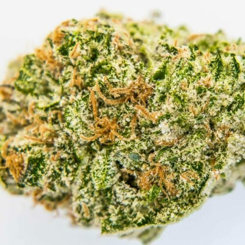 Orange Creamsicle Strain Effects, Reviews, & More Hail Mary Jane