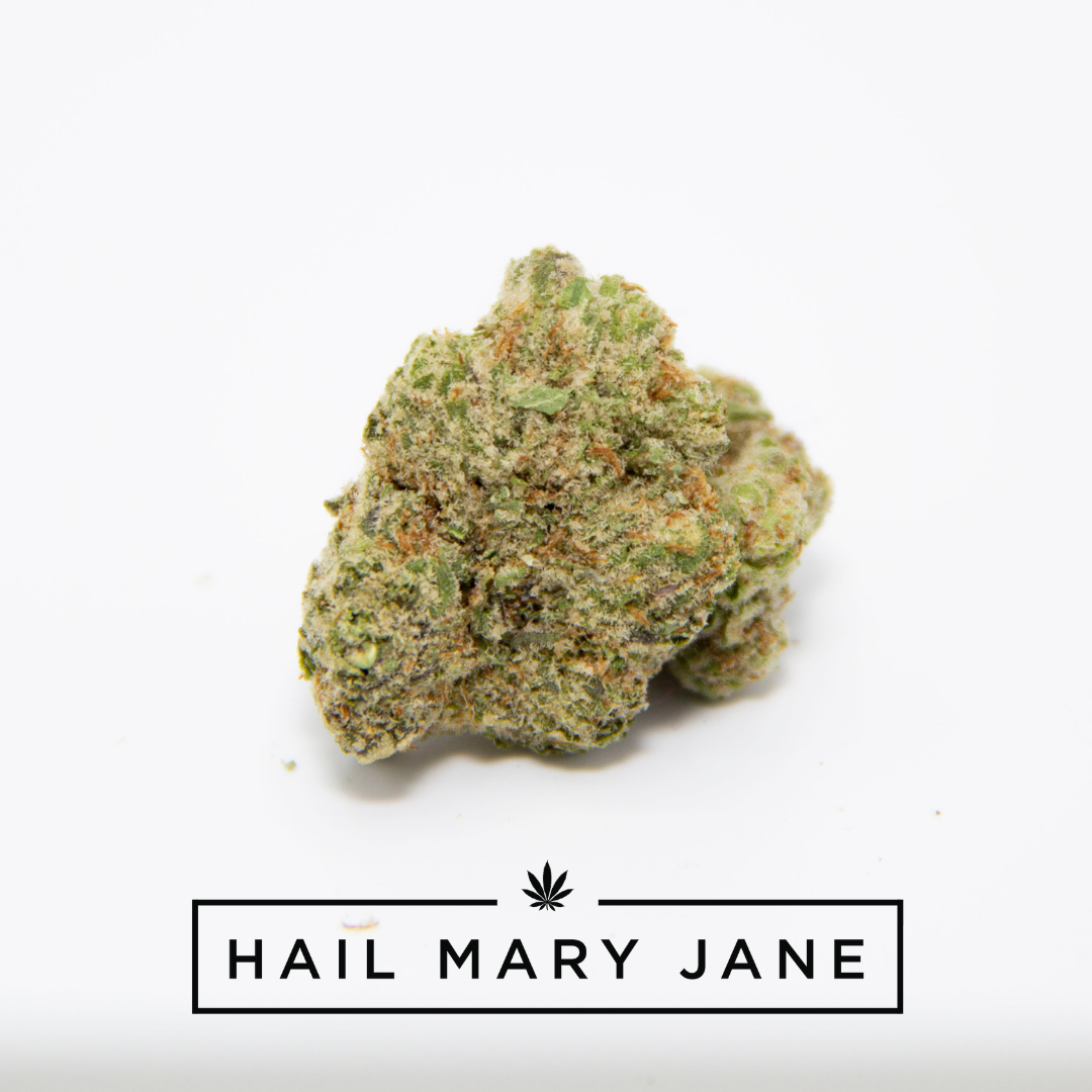 Grease Monkey Weed Strain Effects, Reviews, & More Hail Mary Jane