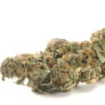 acapulco gold weed strain