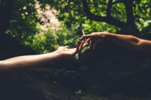 Read more about the article Weed Delivery Services in Los Angeles